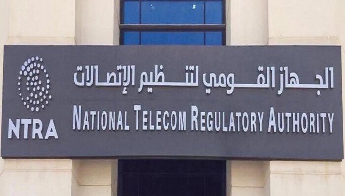 كيفية معرفة عدد الخطوط المسجلة باسمك دون علمك بخطوات بسيطة وسهلة باستخدام الرقم القومي
