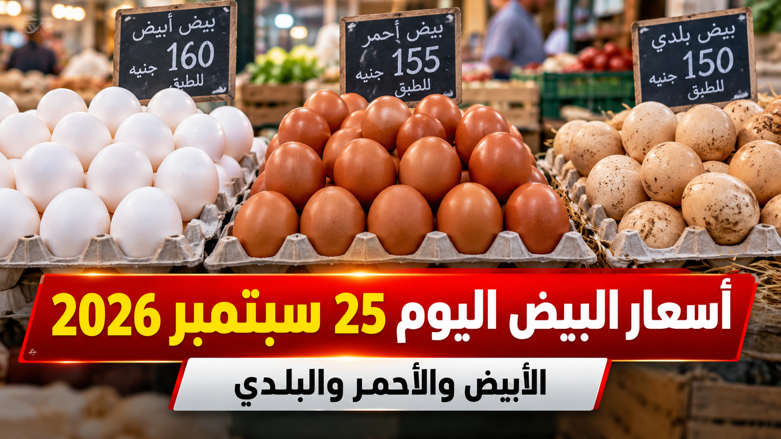 أسعار البيض اليوم الجمعة 25 سبتمبر 2026 في مصر.. الأبيض والأحمر والبلدي للمستهلك