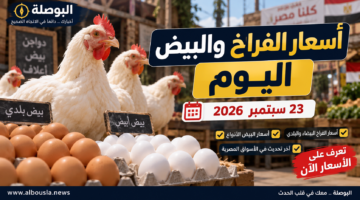 أسعار الفراخ والبيض اليوم 23 سبتمبر 2026 في مصر