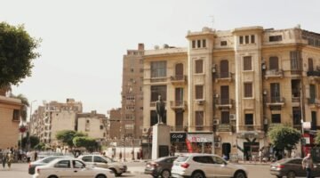 تشجير الجيزة 2026 وتجميل الطرق والميادين