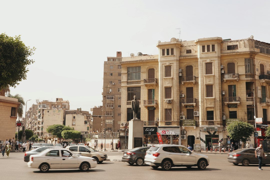 تشجير الجيزة 2026.. خطة موسعة لتجميل الدقي والعجوزة والمريوطية