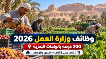 وظائف وزارة العمل 2026 بالواحات البحرية 200 فرصة براتب 9 آلاف جنيه