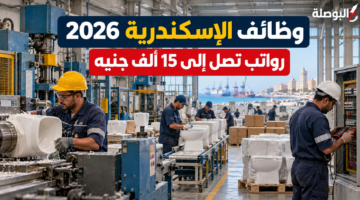 وظائف الإسكندرية 2026 في تصنيع الأدوات الصحية برواتب تصل إلى 15 ألف جنيه