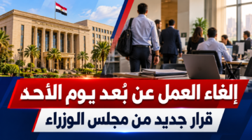 إلغاء العمل عن بُعد يوم الأحد في مصر بعد قرار مجلس الوزراء