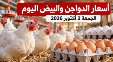 أسعار الدواجن والبيض اليوم الجمعة 2 أكتوبر 2026 في مصر