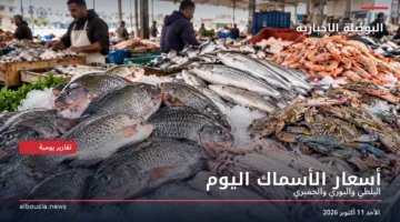 بلطي وبوري وجمبري على طاولة بيع داخل سوق للأسماك – أسعار الأسماك في سوق العبور