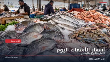 بلطي وبوري وجمبري على طاولة بيع داخل سوق للأسماك – أسعار الأسماك في سوق العبور