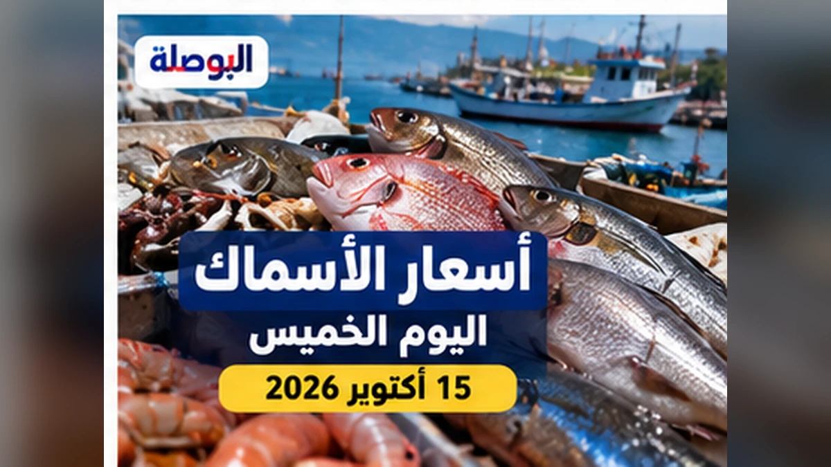 أسعار الأسماك الخميس 15 أكتوبر 2026.. متابعة البلطي والبوري والجمبري