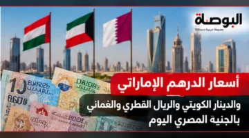 الدرهم والدينار والريال القطري والعماني - صورة تعبيرية عن العملات الخليجية