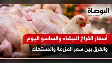 سعر الفراخ البيضاء والساسو في الأسواق المصرية - صورة تعبيرية