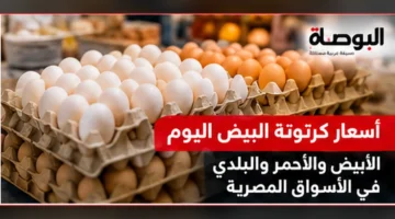 صورة لكرتونة بيض أبيض وأحمر وبلدي في الأسواق المصرية