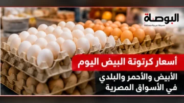 أسعار كرتونة البيض الأبيض والأحمر والبلدي - صورة تعبيرية