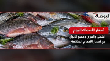 صورة أسماك تعبيرية عن أسعار البلطي والبوري في سوق الجملة