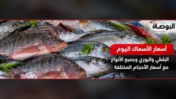 أسعار السمك البلطي والبوري - صورة تعبيرية لأسماك السوق