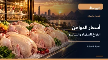 دواجن بيضاء طازجة في صورة توضيحية لأسعار الفراخ البيضاء والساسو