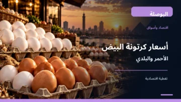 كرتونة بيض أبيض وبني في صورة توضيحية لأسعار البيض الأحمر والبلدي