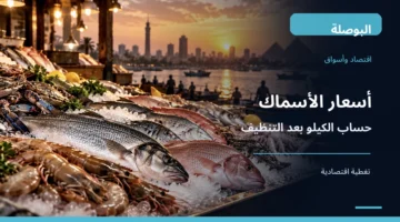 أسماك متنوعة معروضة للبيع في صورة توضيحية لحساب وزن البلطي والبوري