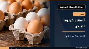 أسعار كرتونة البيض الأحمر والبلدي في مصر