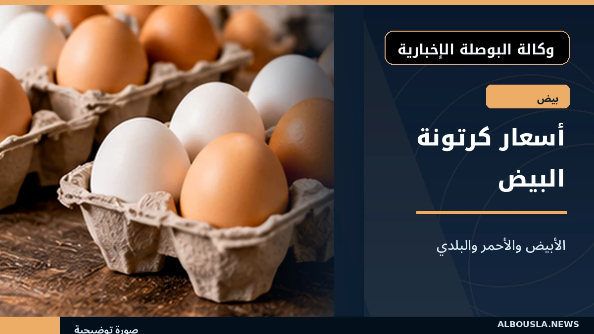 كرتونة البيض الأحمر والبلدي مساء 21 أكتوبر.. كم السعر في المزرعة والمحلات؟