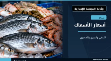 أسعار السمك البلطي والبوري والجمبري في سوق الجملة