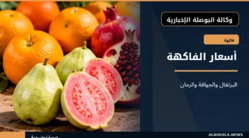 أسعار البرتقال والجوافة والرمان في سوق العبور
