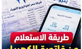 الاستعلام عن فاتورة الكهرباء 2026