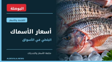 أسعار الأسماك والسمك البلطي في مصر - عرض للأسماك الطازجة - البوصلة