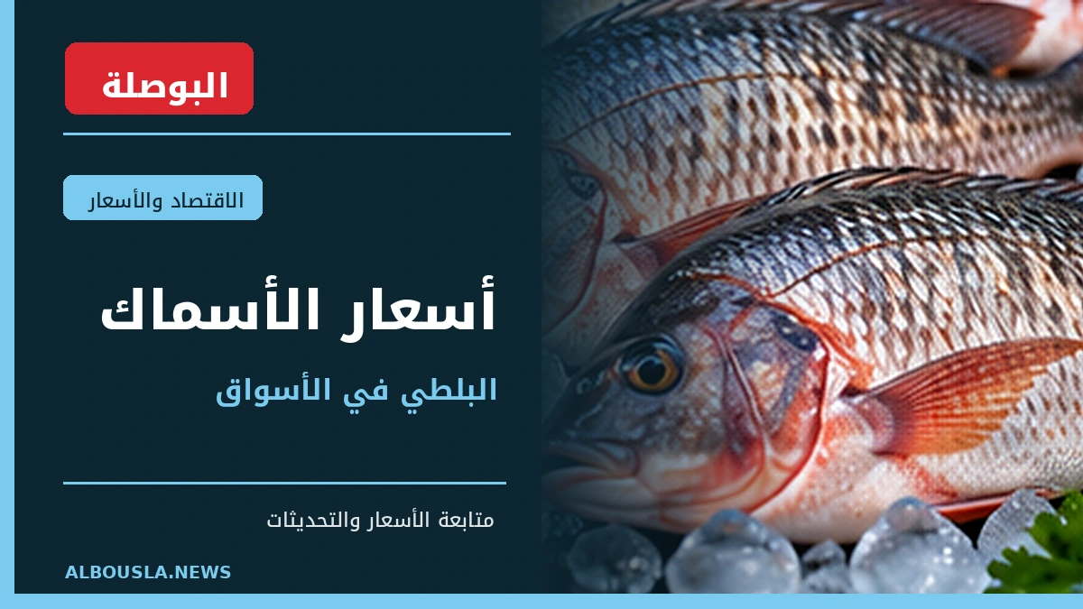 أسعار السمك البلطي في مصر.. كيف تقارن بين الجملة والتجزئة والوزن الصافي؟
