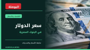 سعر الدولار الأمريكي مقابل الجنيه المصري - أوراق نقدية أمريكية - البوصلة