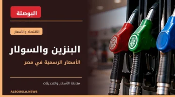 أسعار البنزين والسولار في مصر - مضخات الوقود بمحطة بنزين - البوصلة