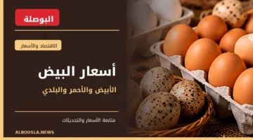 أسعار كرتونة البيض الأبيض والأحمر والبلدي في مصر - البوصلة