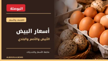أسعار كرتونة البيض الأبيض والأحمر والبلدي في مصر - البوصلة