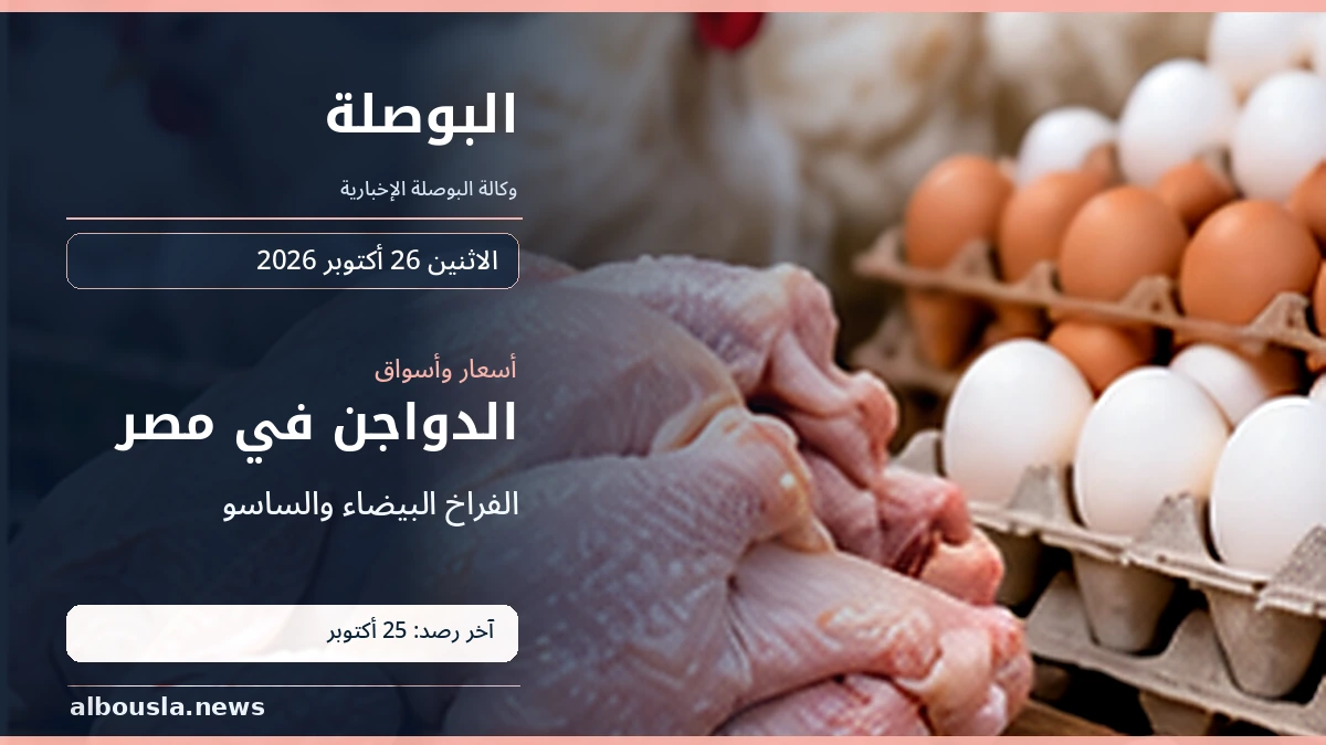 الفراخ البيضاء والساسو صباح 26 أكتوبر 2026.. آخر رصد مؤرخ 25 أكتوبر
