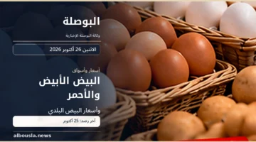 بيض أبيض وأحمر وبلدي في صورة توضيحية لأسعار كرتونة البيض في مصر