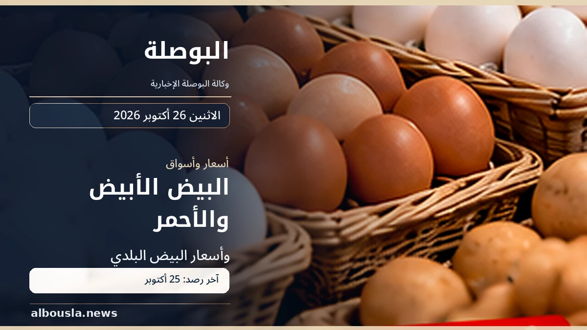 البيض الأبيض والأحمر والبلدي صباح 26 أكتوبر 2026.. آخر رصد 25 أكتوبر