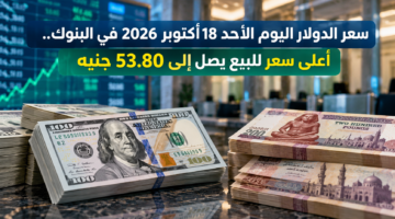 سعر الدولار اليوم الأحد 18 أكتوبر 2026
