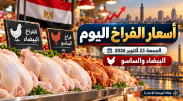 أسعار الفراخ البيضاء والساسو اليوم الجمعة 23 أكتوبر 2026 في مصر
