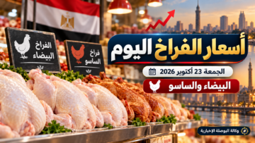 أسعار الفراخ البيضاء والساسو اليوم الجمعة 23 أكتوبر 2026 في مصر