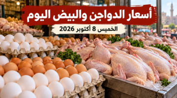أسعار الدواجن والبيض اليوم الخميس 8 أكتوبر 2026 والفراخ البيضاء وكرتونة البيض
