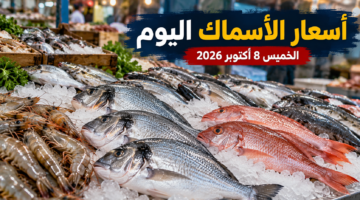 أسعار الأسماك اليوم الخميس 8 أكتوبر 2026 في سوق العبور والبلطي والبوري والجمبري